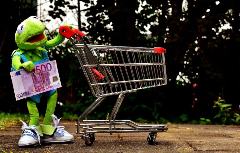 The Influence of Cultural Trends on Shopping Preferences