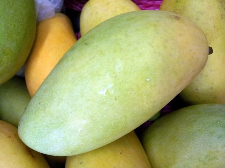 Analyzing the Influence of Food Deserts on Community Health
