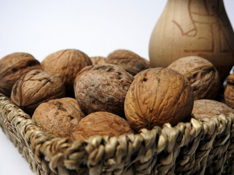 Understanding the Benefits of Homeopathy in Health and Wellness