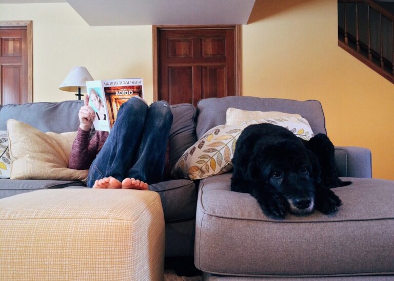 Creating a Home Maintenance Schedule for Efficiency