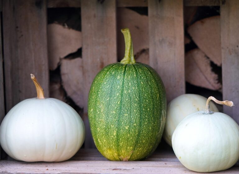 The Rise of Conscious Consumerism in the Food Industry