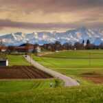 Analyzing the Maintenance Challenges of High-Mileage Vehicles: 11xplay sign up login password, Www laser247.com, Tiger exchange 247