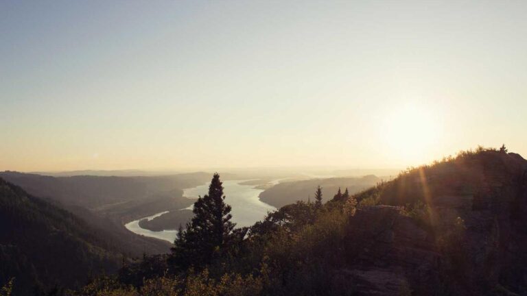 How To Recover Cricbet99 Forgot Password?