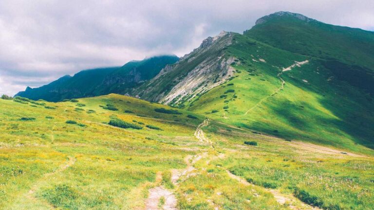 What Is Included In The 99Exch Weekly Bonus Plan?